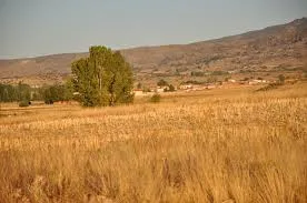 Baterna (municipio De Solosancho)