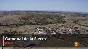 Gamonal (anejo De Hurtumpascual)