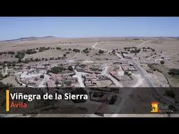 Viñegra (anejo De Hurtumpascual)