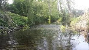 Lagunilla De La Vega