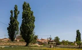 Valverde De Los Ajos