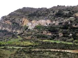 Alzina