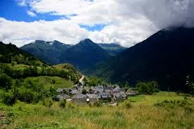 Arres