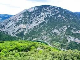 Montant De Tost