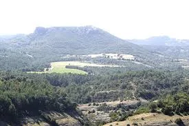 Montpol