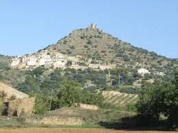 Orcau