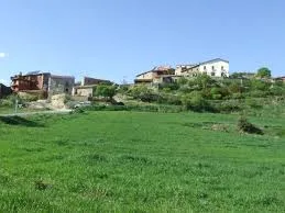 Torallola