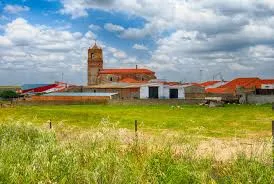 Casas De Reina
