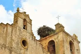 Cristina