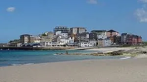 Cervo