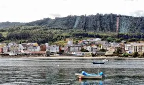 Vicedo, O