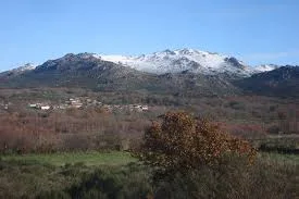 Calvos De Randín
