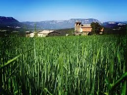 Labeaga (igúzquiza)