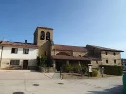 Lizarraga (izagaondoa)