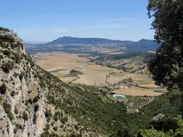 Ollogoyen (metauten)